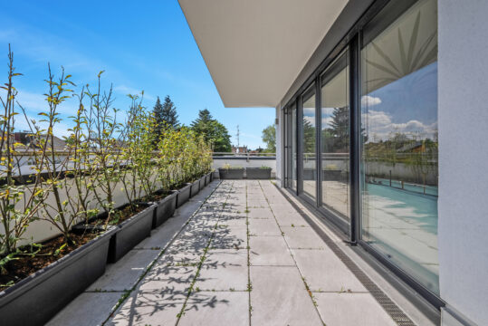 Design, Raum und Flexibilität – eine moderne Bauhausvilla mit Pool für alle Lebensphasen